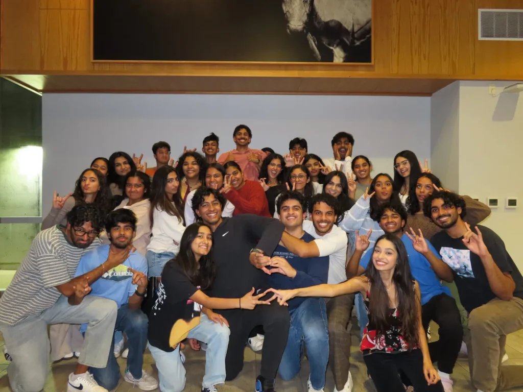 Mental Health Initiative for South Asians activities